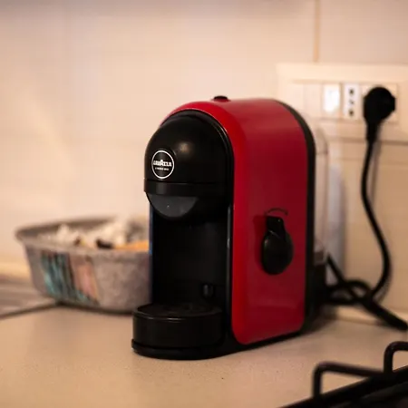 Your In * 阿尔盖罗