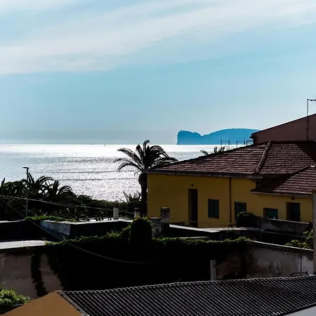 Your In 阿尔盖罗